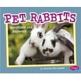 thumbnail image 1 of Pet Rabbits : Questions and Answers, 1 of 1