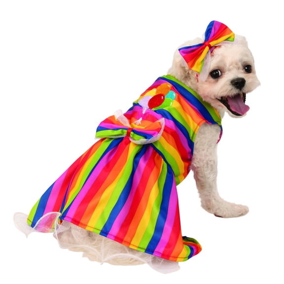 Pet Rainbow Party Dress Costume Generic Large Adult Unisex Fancy Book Week Halloween