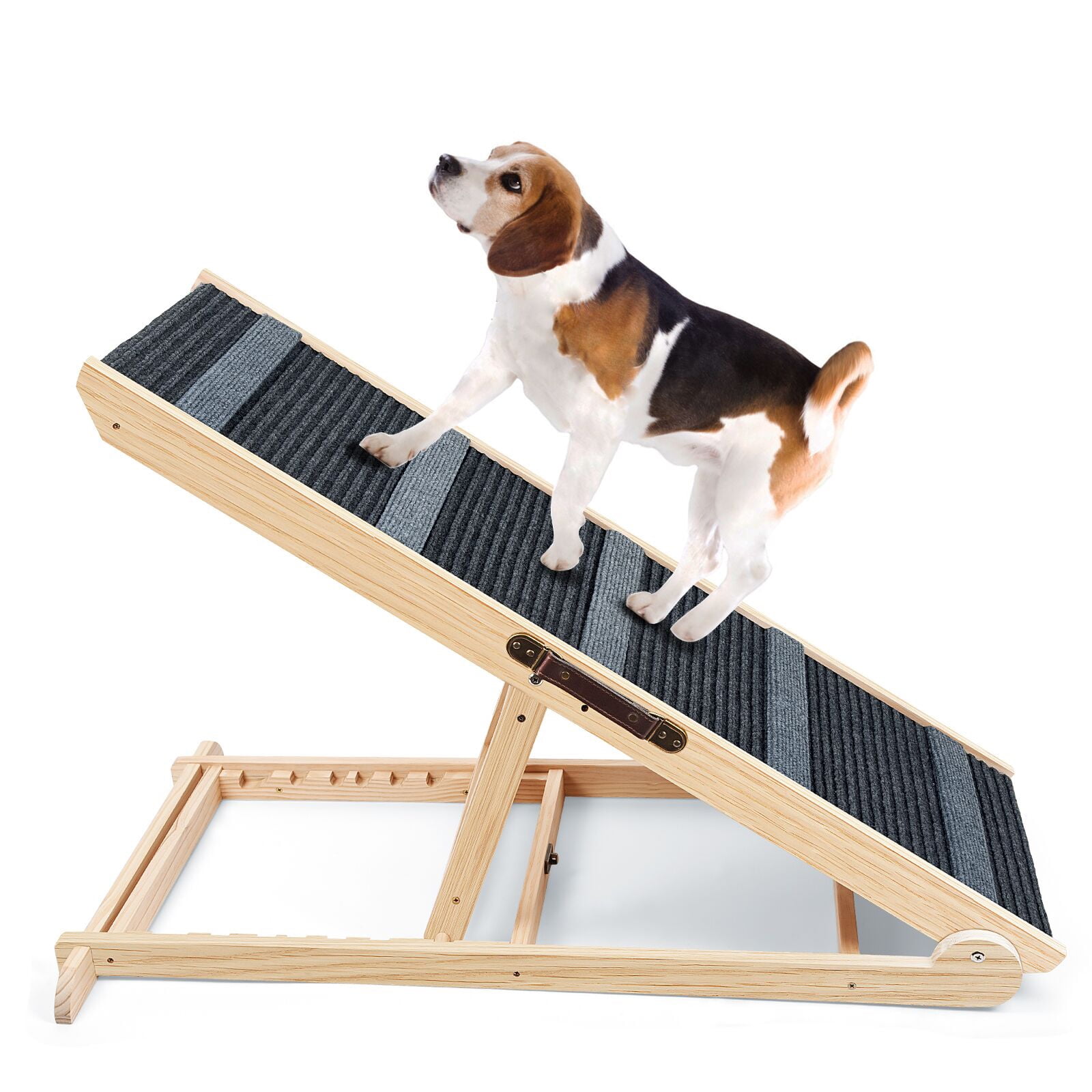 Dogs clearance up ramp