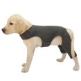 thumbnail image 1 of Pet Rear Leg Sleeve Wrap Support Aids in Healing Comfortable Sleeve Leggings, 1 of 10