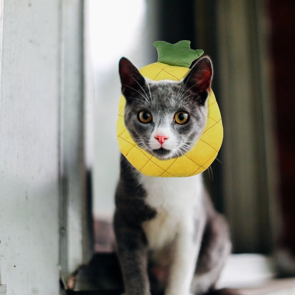 Pet Recovery Collar Adjustable Yellow Elizabethan Collar for Cats and Dogs