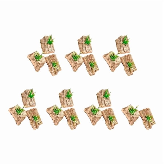 Pet Reptiles Corner Bark Plant Landscaping for Amphibian Bearded Dragon Lizards