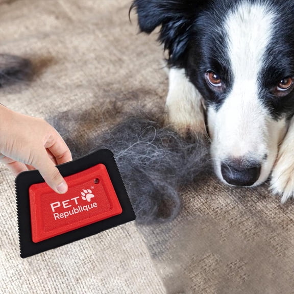 Pet Republique Fur Removing Tool for Carpet & Upholstery Reusable Rubber Scraper/Detailer for Furniture, Carpet, Upholstery & Car to Lift Embedded Fur