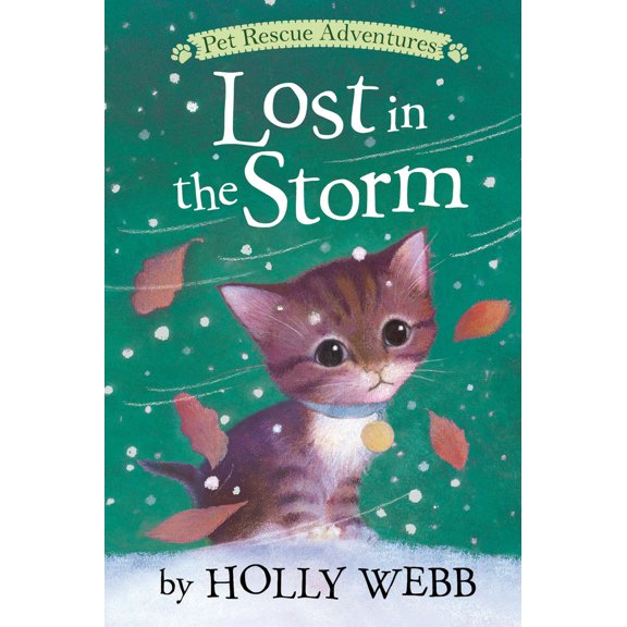 Pre-Owned Lost in the Storm (Paperback) 1680104101 9781680104103