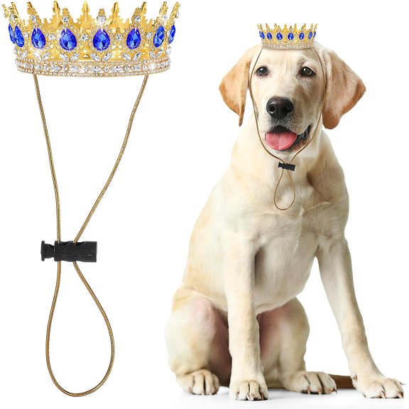 Pet Rhinestone King Crown, Queen Crown for Halloween Costume for Small Dog Cat Cosplay Party Accessories Adoption Celebration Wedding Birthday Photos Prop Costume(Blue,Large)
