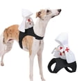 thumbnail image 1 of Pet Riding Costume, Adjustable Medieval Knight Outfit Dog Costume for Halloween Party Cosplay Taking Photo, Dog Apparel Party Dressing Up for Small Medium Large Dogs(L,Knight), 1 of 8
