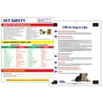 Pet Safety Fridge AIF4 Animal CPR for Dogs and Cats Toxic