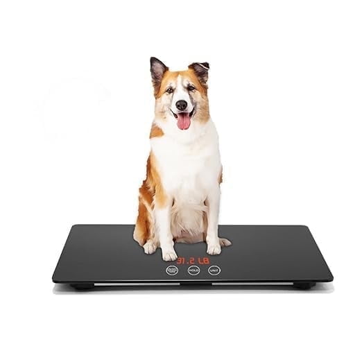 Digital Pet Scale for Dogs, 25.6 X 17.7inchs, Max 220 lbs, Animal Scale Platform, 3 Weighing Modes, kg, oz, lb, Precision 10g, Black