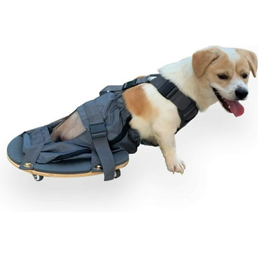 Pet Scooter Wheelchair for Rear Legs paralyzed Dog Protects Chest and Limbs