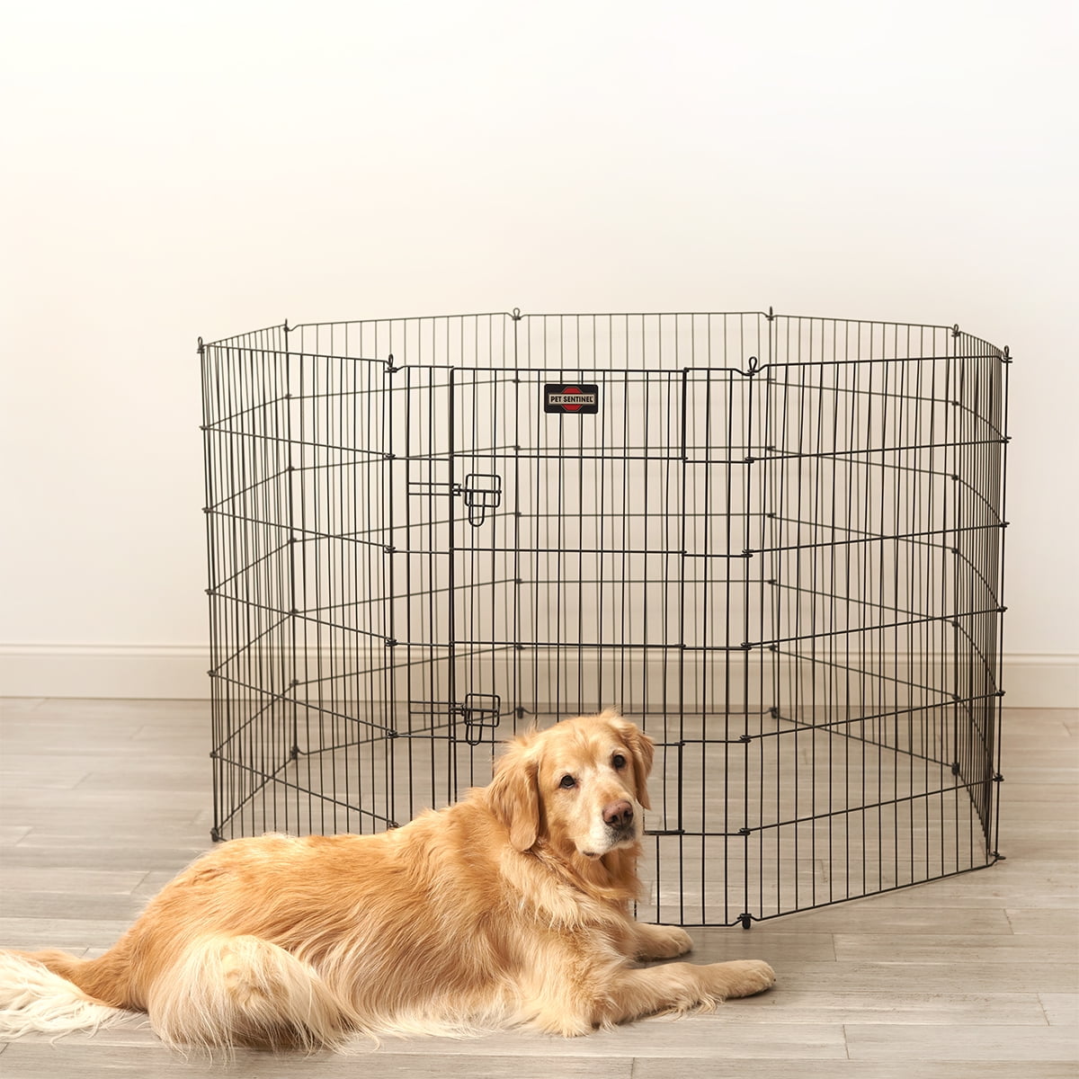 Sentinel large dog sales