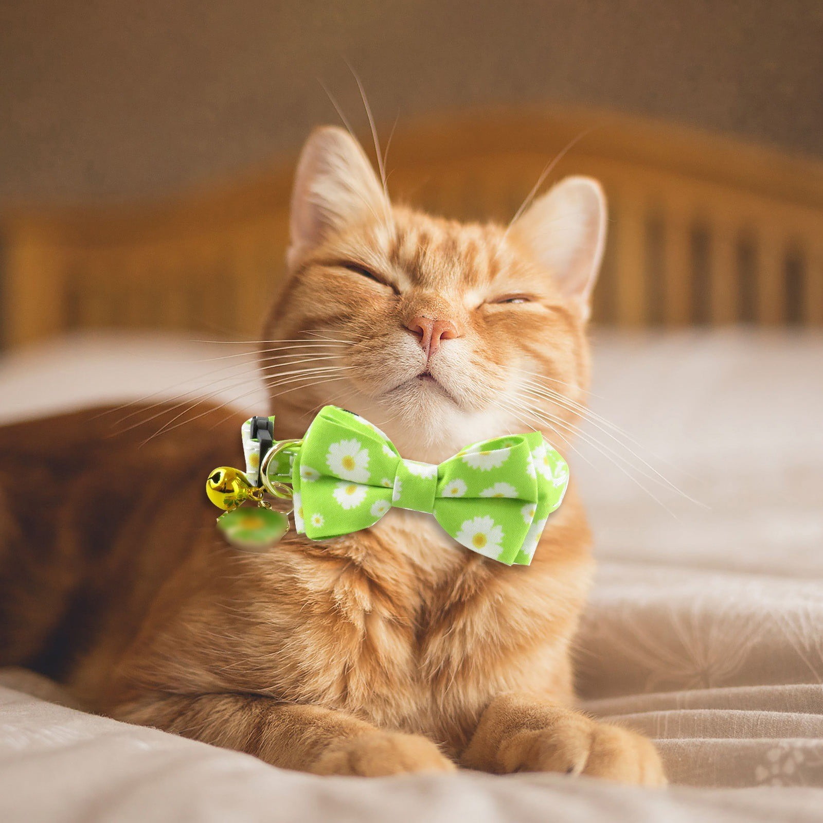 Pet Separate Cat With Tie Small Animal Bow Cat Buckle Style Cat With