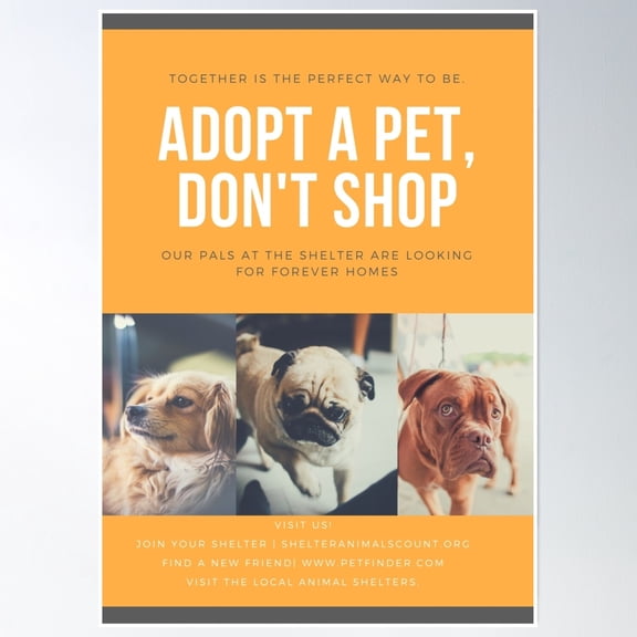 Pet Shelter - Animal Shelter - Adopt Poster Wall Art, Modern Wall Decor, 24x36 UNFRAMED