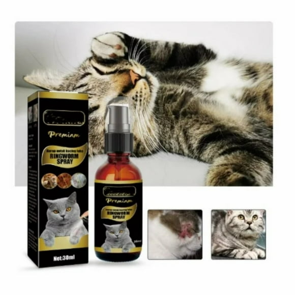 Cat Dermatitis Treatment