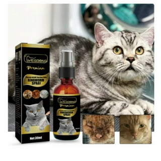 Ringworm Treatment Cats