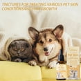 thumbnail image 1 of Pet Skin Repair Essence, Natural Pet Skin Care For & Teenager Pets, Nourishing & Soothing Pet Skin Formula, 1 of 6
