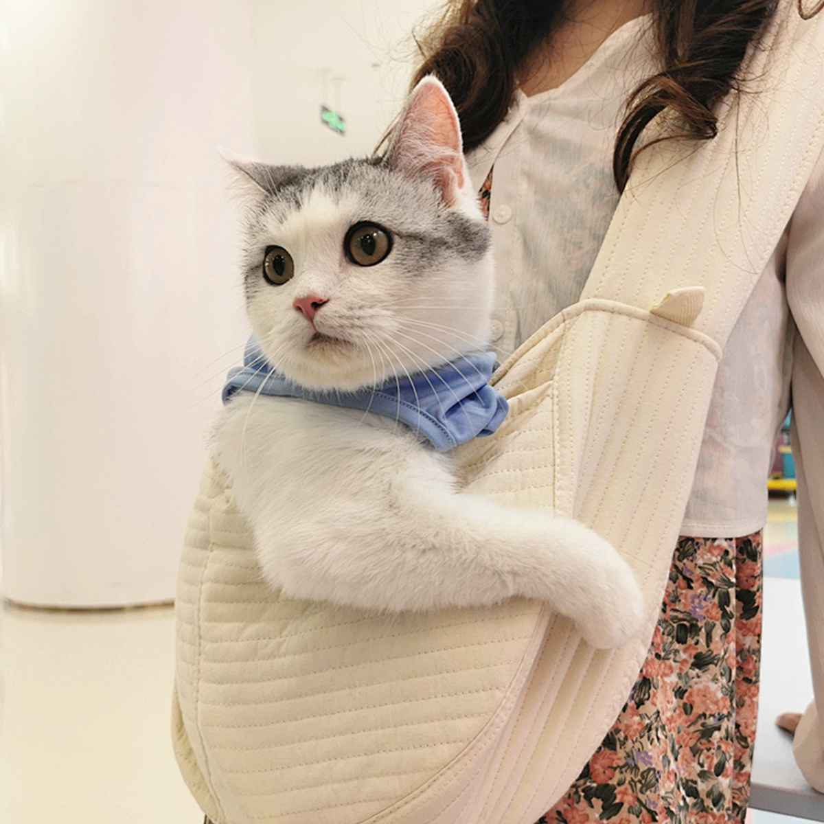 Mr. Pen Pet Carrier, Cat Carrier, Dog Carrier, Cat Bag Carrier, Cat