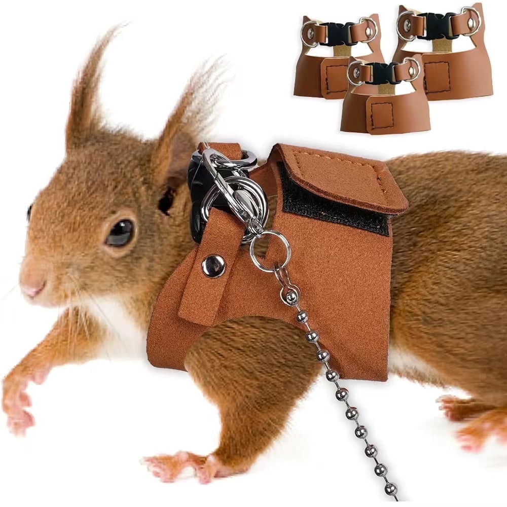 Pet Slings Must - have Anti - loss and Anti - flight Leash for ...