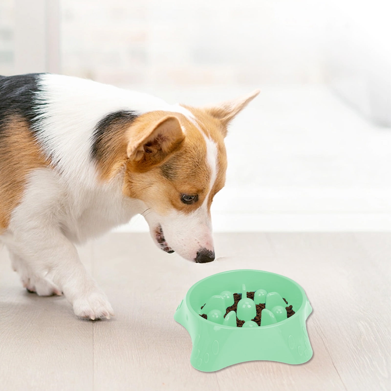Image showcasing Pet Slow Feeder Dog Bowl | Non-Slip Spill Proof Plastic Food Dish ...