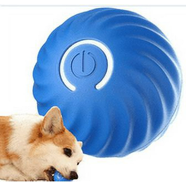 Jumping activity ball for dogs online