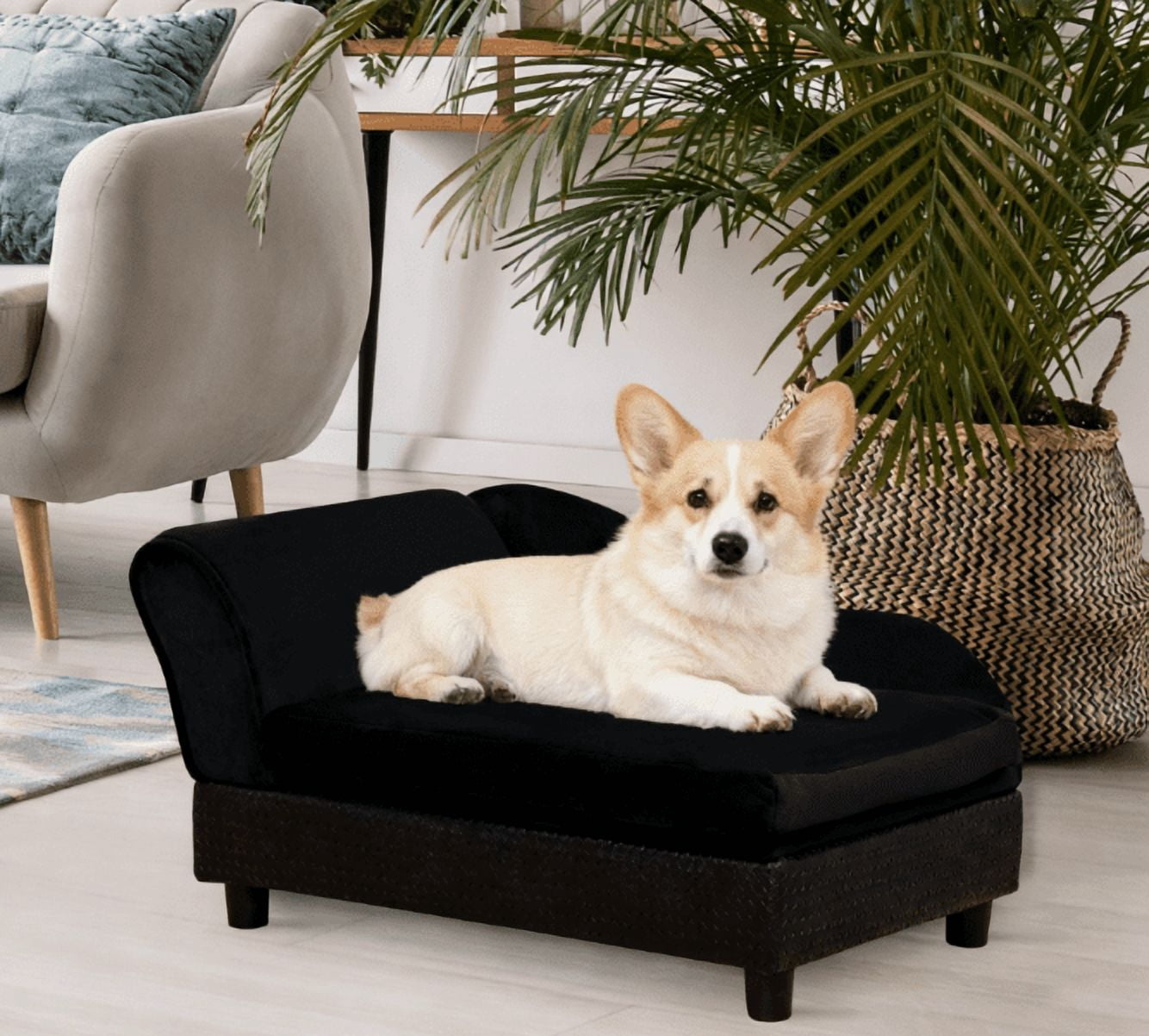 Pet Sofa Dog Sofa for Small Dogs with Storage, Black
