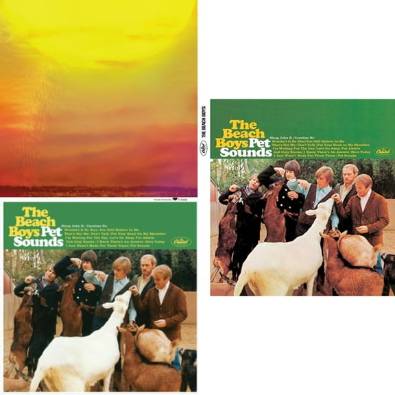 Pet Sounds (Stereo) & Pet Sounds (Mono) & Sounds Of Summer: The Very Best Of The Beach Boys (Expanded Edition Super Deluxe/6LP)