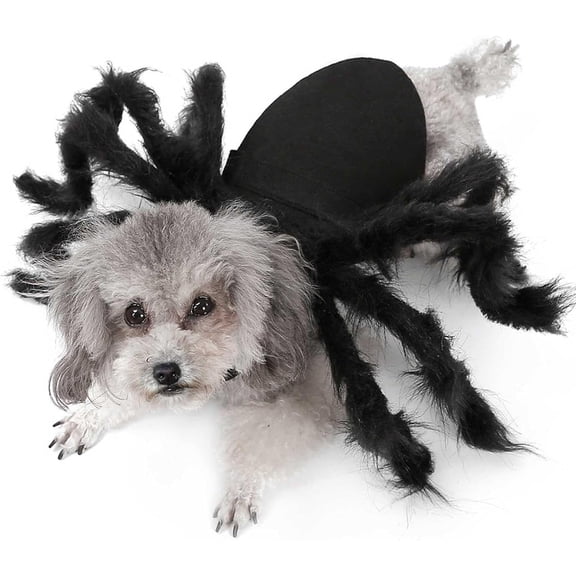 Spider Costume Dog Cat Adjustable Velcro for Small Pets Halloween PartySmall