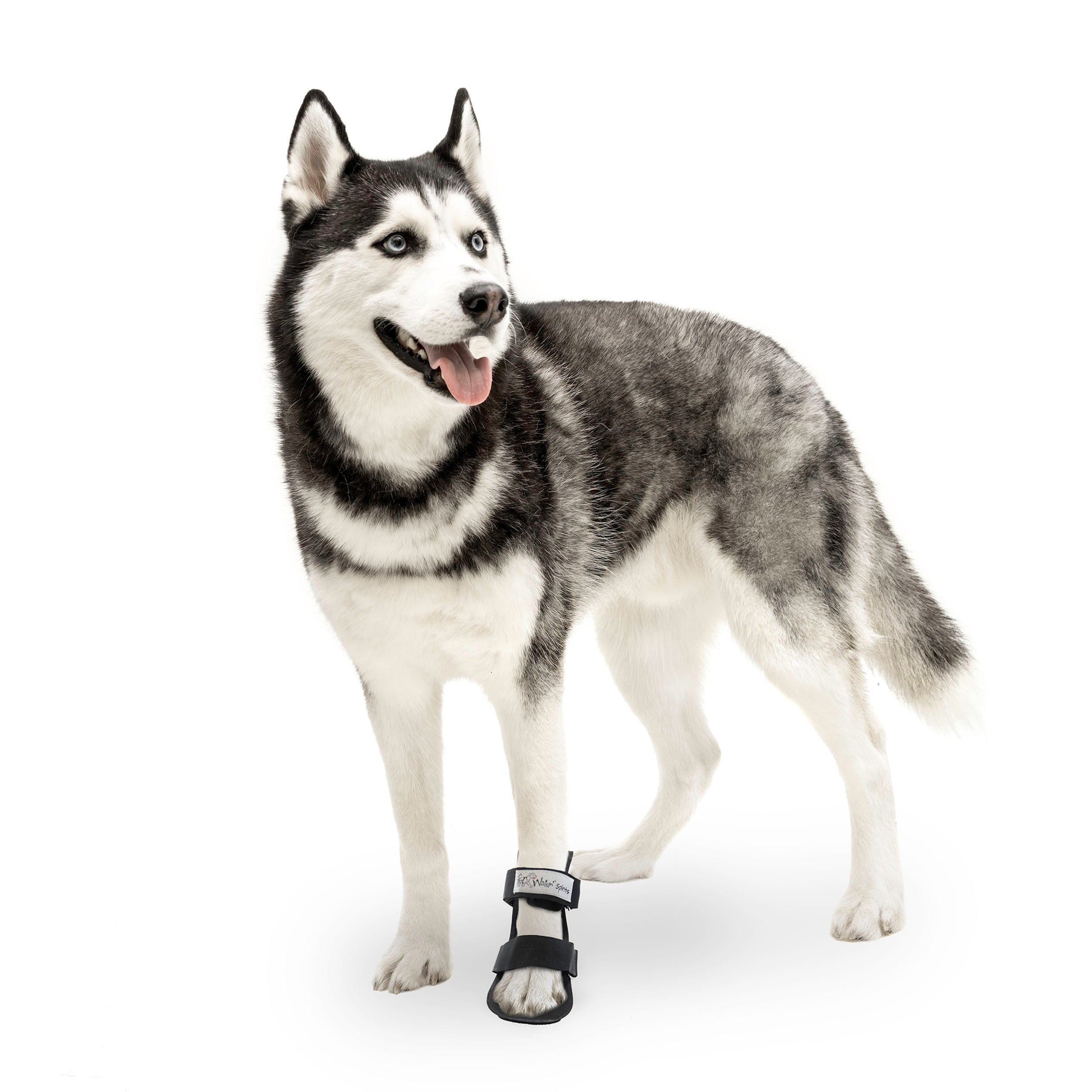 Pet Splint for Dogs Dog Bootie Style Foot Splint For Dogs with Arthritis and Injuries