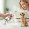 thumbnail image 1 of Pet Stain And Odor Remover Gentle Daily Freshness Deodorizer For Cleaning Carpets And Upholstery 100ml 1 Count, 1 of 9