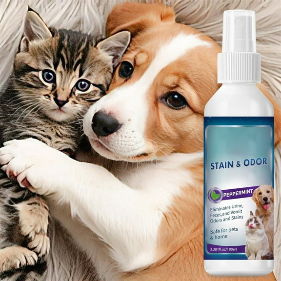 Pet Stain and Odor Eliminator Spray with Peppermint Scent – Removes Urine, Feces, Vomit Stains – Safe for Pets & Home