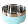 thumbnail image 1 of Pet Stainless Steel Bowl - Non-Slip, Mint Green, 7 Inch For Dogs, Cats, Food, Water, Indoor, Outdoor, 1 of 8