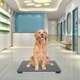 thumbnail image 1 of Pet Store Hospital Scale Large Dog Weighing Scale 100kg LCD Scale Animal Scale Durable, 1 of 12