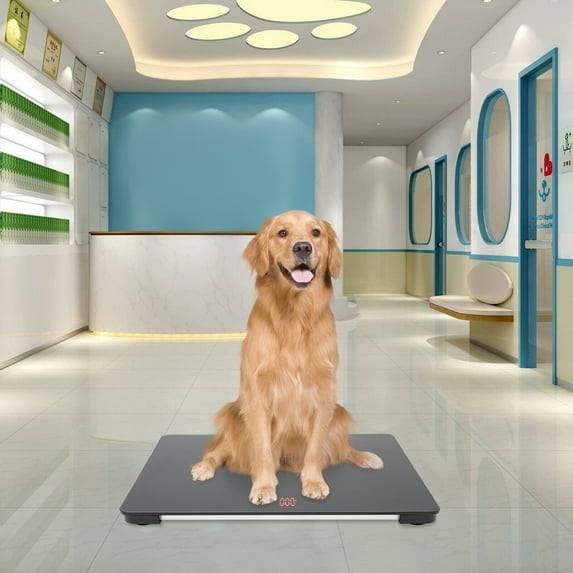 Pet Store Hospital Scale Large Dog Weighing Scale 100kg LCD Scale Animal Scale Durable