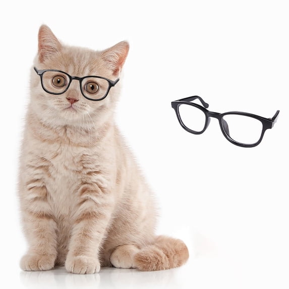 Pet Sunglasses for Cats and Small Dogs, Windproof UV Protection Eye Wear, Stylish Photo Prop Accessory