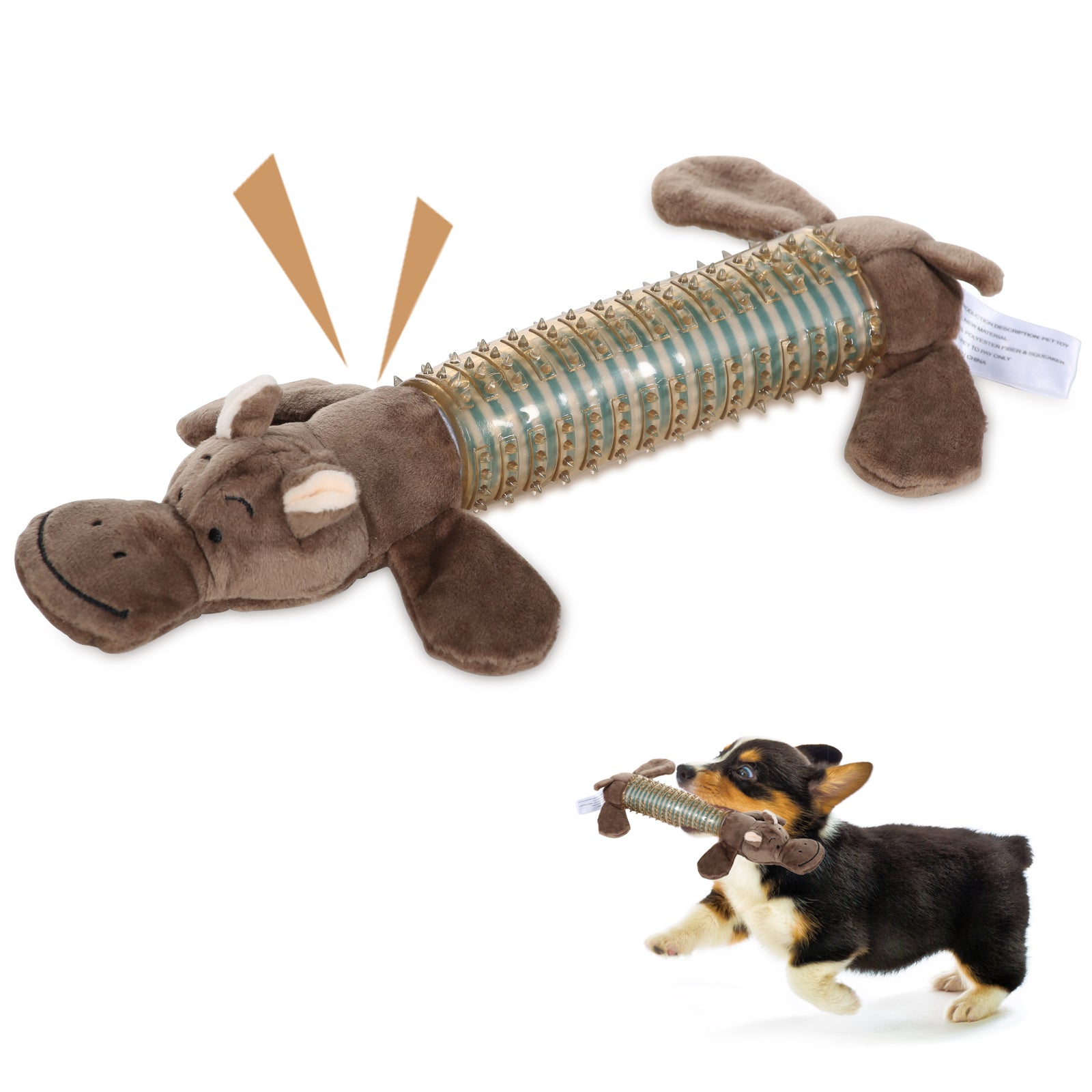 Dog toys shops and supplies