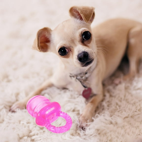 Pet Supplies Interactive Dog Toys Transparent Pacifier Biting Squeezing Venting Teeth Grinding TPR