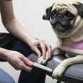 thumbnail image 1 of Pet Supplies Stainless Steel Nail File for Cats and Dogs Tri Color Pet Beauty Foot Care Tool Grooming File for Nails,13.9 cm,Red, 1 of 8