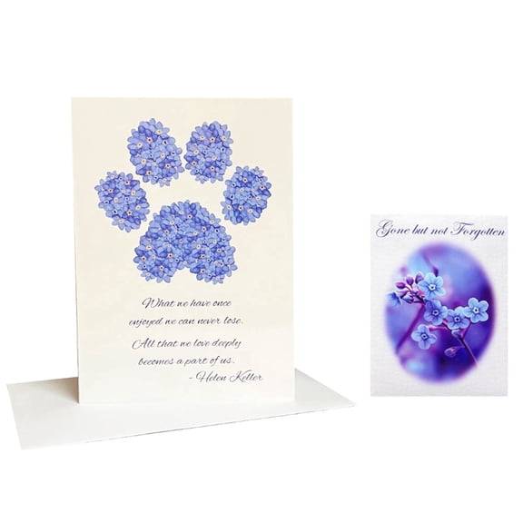 Pet Sympathy Card & Forget Me Not Seed Packet Memorial Gift Set