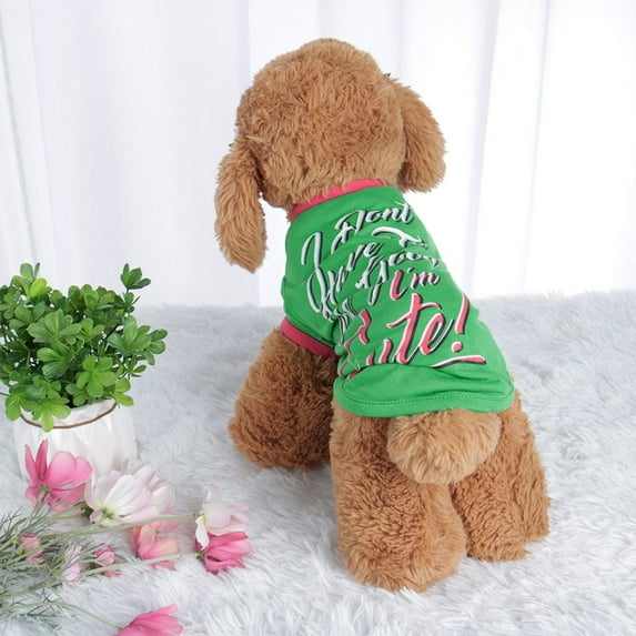 Pet T Shirt Spring Puppy Small Pet Cat Apparel Clothes Costume Vest Stripe Style,#1,XS