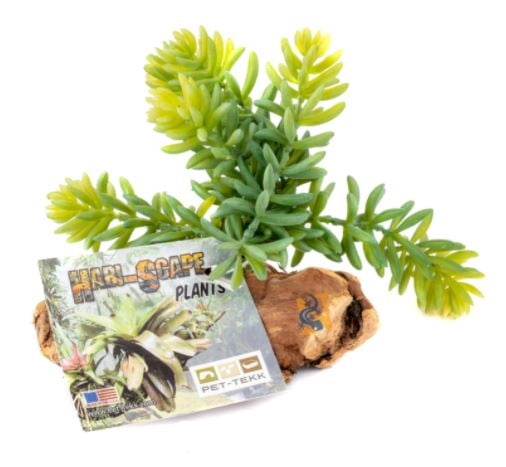 Pet-Tekk Habi-Scape Sedrum Plant on Driftwood