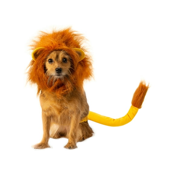 Pet The Lion King Simba Accessory Set