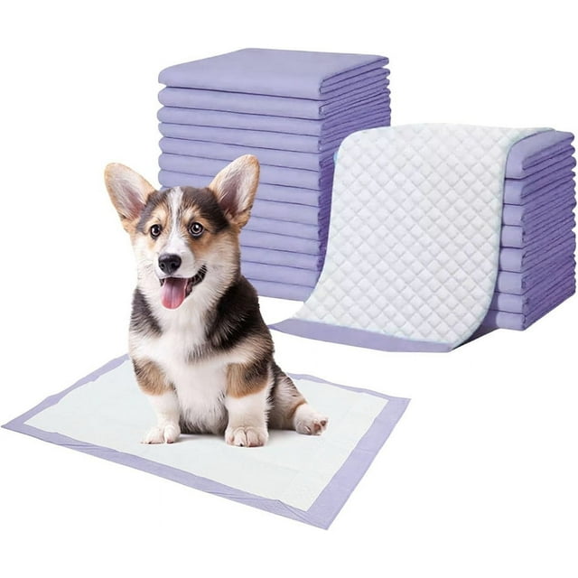 Pet Toilet Training Pads 100Count Disposable Puppy Pee Pads 18" x 13" for Dogs, Ultra Absorbent|Quick Dry|Leak-Proof Pet Potty Pads for Dog, Cat, Rabbits and Guinea Pigs (Pink)