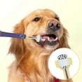 thumbnail image 1 of Pet Toothbrush for Dogs and Cats - Soft Triple Head Design for Gentle Teeth Cleaning and Oral Care Plaque Removal and Fresh Breath Durable Pet Supplies, 1 of 5