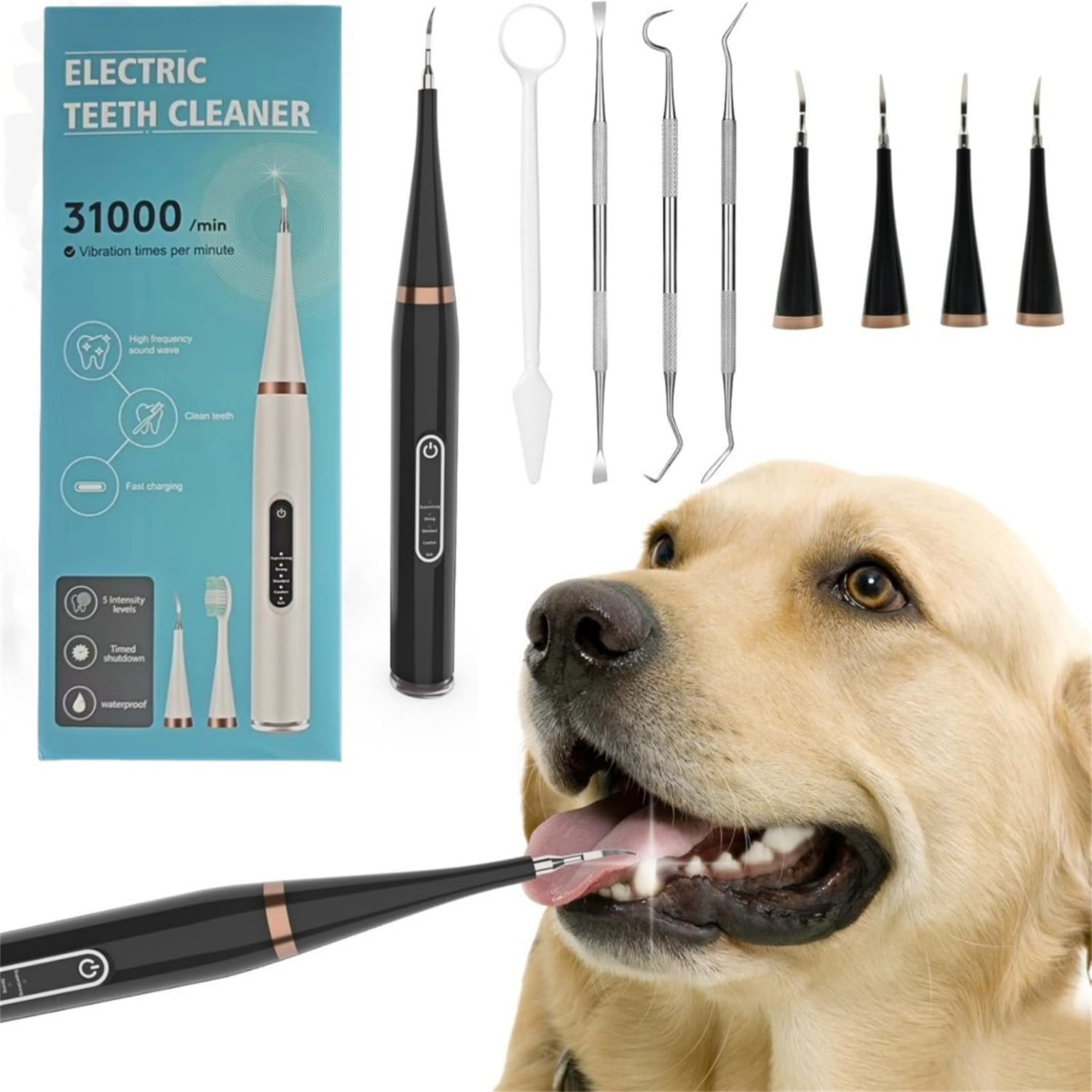 Pet Toothbrush Set Cat And Dog Oral Care Brush Cleaner Set Bathroom