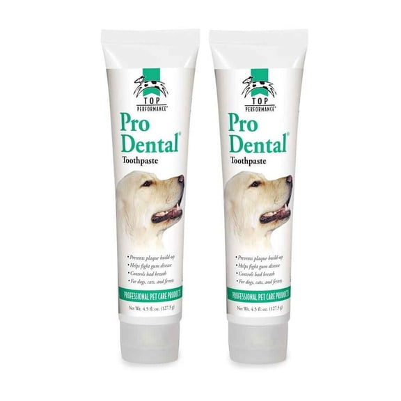 Pet Toothpaste Dog Cat Dental Grooming Care Beef Flavored Oral Paste 4.5oz Tubes (Two Tubes)