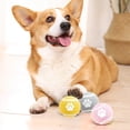 thumbnail image 1 of Pet Toy Ball, Solid Elastic Chew Ball for Dogs Puppies, PVC Durable Bite-Resistant Ball, Small 2.4 Inch Dog Ball Toy in Pink Gray Yellow, Interactive Play Fetch Training Toy for Pets, 1 of 7