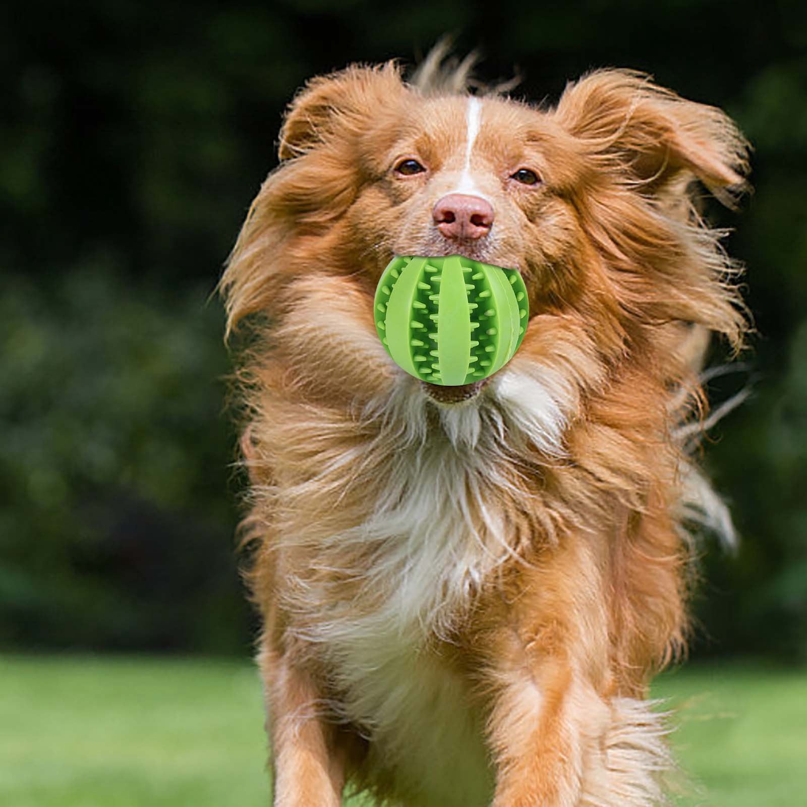 Pet Toy Dog Toy Grinding Teeth Cleaning Teeth Leaking Food Dog Toy Dog