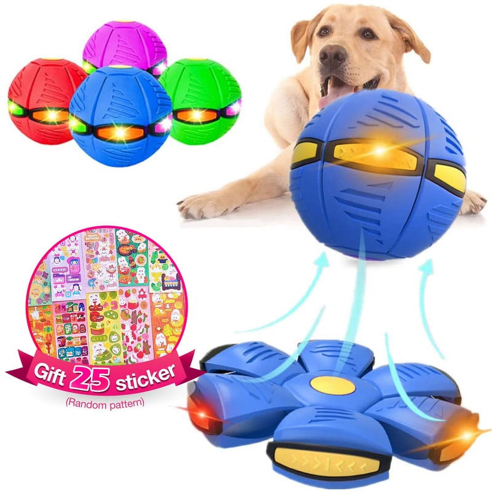 Jouet pour animal de compagnie Frisbee Ball, presseur de pied de  décompression et de déformation magique Flyball, balle interactive  Flytackle, jouet pour chien petit et moyen (balle pas à pas 2016A [p