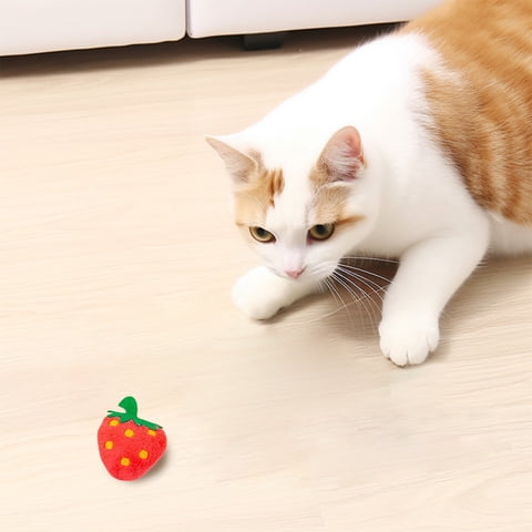 Pet Toys Cat Toys Animal Dolls for Self Entertainment with Mint for Feline Enrichment and Interactive