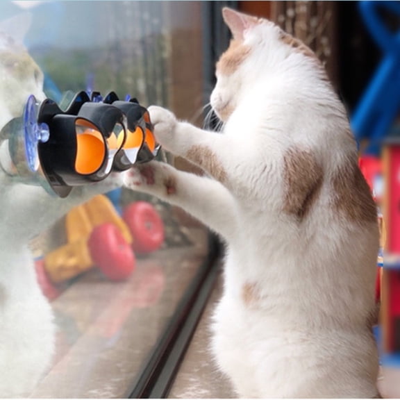 Pet Toys Explore Cup Cat Interactive Window Suction Track Toy for Practical Accessory, One Size, Multicolor