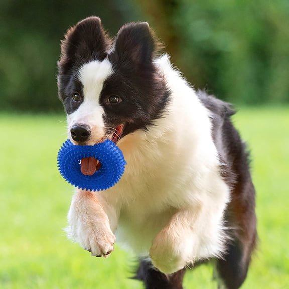 Pet Toys Pet Chewing Ring Interactive Squeaky Spiky Ring for Puppies and Dogs Training Teething Indoors Outdoors Toy, 13 cm, Blue